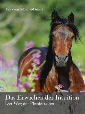 cover image of Das Erwachen der Intuition